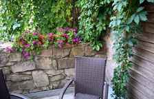 Одноместные апартаменты Standard