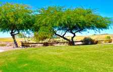 Двухместный номер Standard