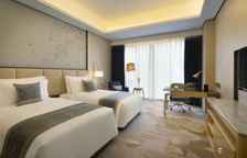 Двухместный номер Standard с видом на город