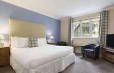 Двухместный номер Superior