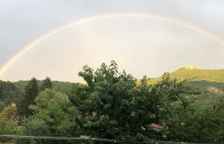 Одноместный номер Standard