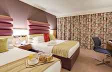 Одноместный семейный номер Standard