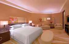 Двухместный люкс Presidential c 1 комнатой