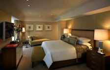 Одноместный люкс