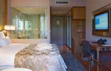 Одноместный номер Deluxe