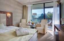 Двухместный номер Premium