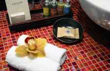 Одноместный номер Premier