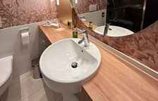 Двухместный номер Premium с балконом и с видом на парк