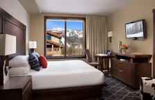 Двухместный полулюкс Terra