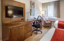 Четырёхместный номер Standard Цокольный этаж