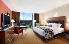 Двухместный номер Deluxe с видом на реку