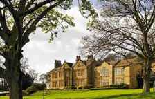 Одноместный номер Standard