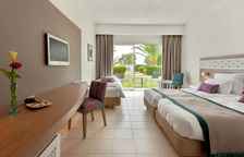 Одноместный номер Standard с видом на сад