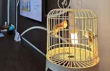 Люкс Executive с видом на бассейн