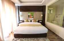 Двухместный номер Deluxe с балконом и с видом на горы