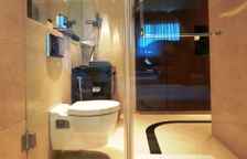 Двухместный номер Premium с видом на город