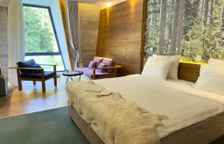 Двухместный номер Standard