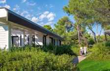 Полулюкс Ecolodge Deluxe