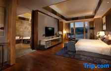 Одноместный люкс Presidential