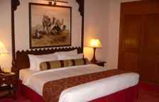 Двухместный номер Deluxe с видом на сад