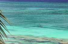 Четырёхместный номер Standard oceanfront