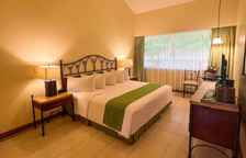 Одноместный номер Executive