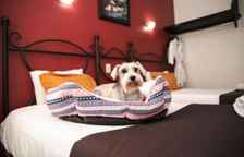 Двухместный номер Economy