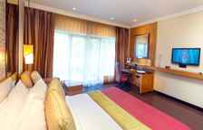 Двухместный номер Executive с видом на город