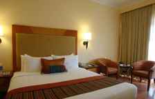 Двухместный номер Deluxe