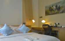 Одноместный номер Standard