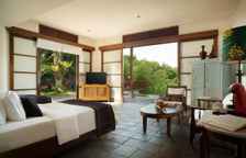 Одноместный люкс с видом на сад