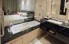 Двухместный номер Premium с видом на город