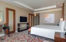 Двухместный номер Deluxe с видом на сад