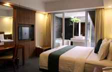 Одноместный номер Premier