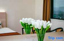 Двухместный номер Superior