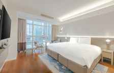 Двухместный номер Premier Deluxe с видом на город