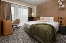 Двухместный люкс Superior с видом на город