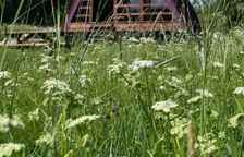 Вилла Deluxe c 1 комнатой с видом на озеро