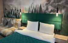 Номер Грин Стандарт Комфорт Плюс