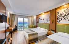 Номер Large Standard