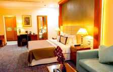 Люкс Ambassador c 1 комнатой