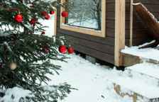 Двухместное шале с террасой