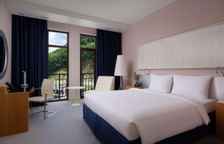 Двухместный номер Премиум с французским балконом и с видом на реку