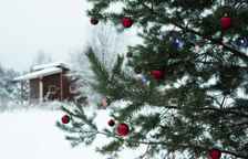 Шестиместное шале