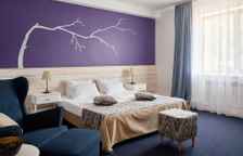 Двухместный люкс с балконом и с красивым видом из окна