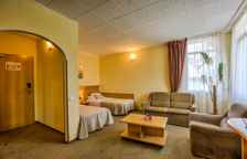 Двухместный номер Economy 3 stars wing без доступа к Спа без лифта