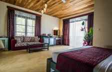 Двухместный люкс с балконом и с красивым видом из окна