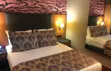 Двухместный номер Бюджетный