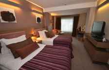 Двухместный номер Deluxe