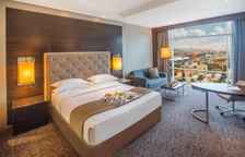 Двухместный полулюкс